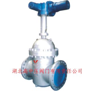                     防爆電動裝置無導(dǎo)流平板閘閥                